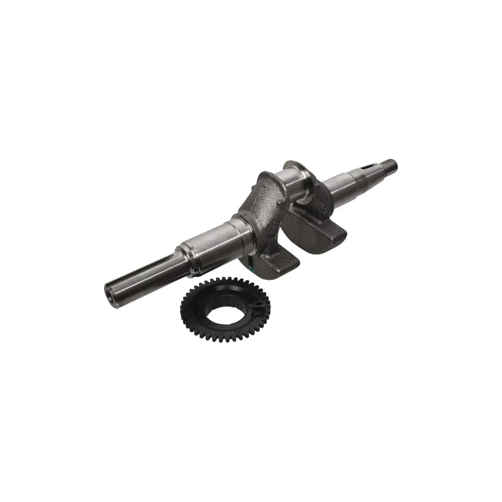 Kit arbore cotit 06131Z8AW00