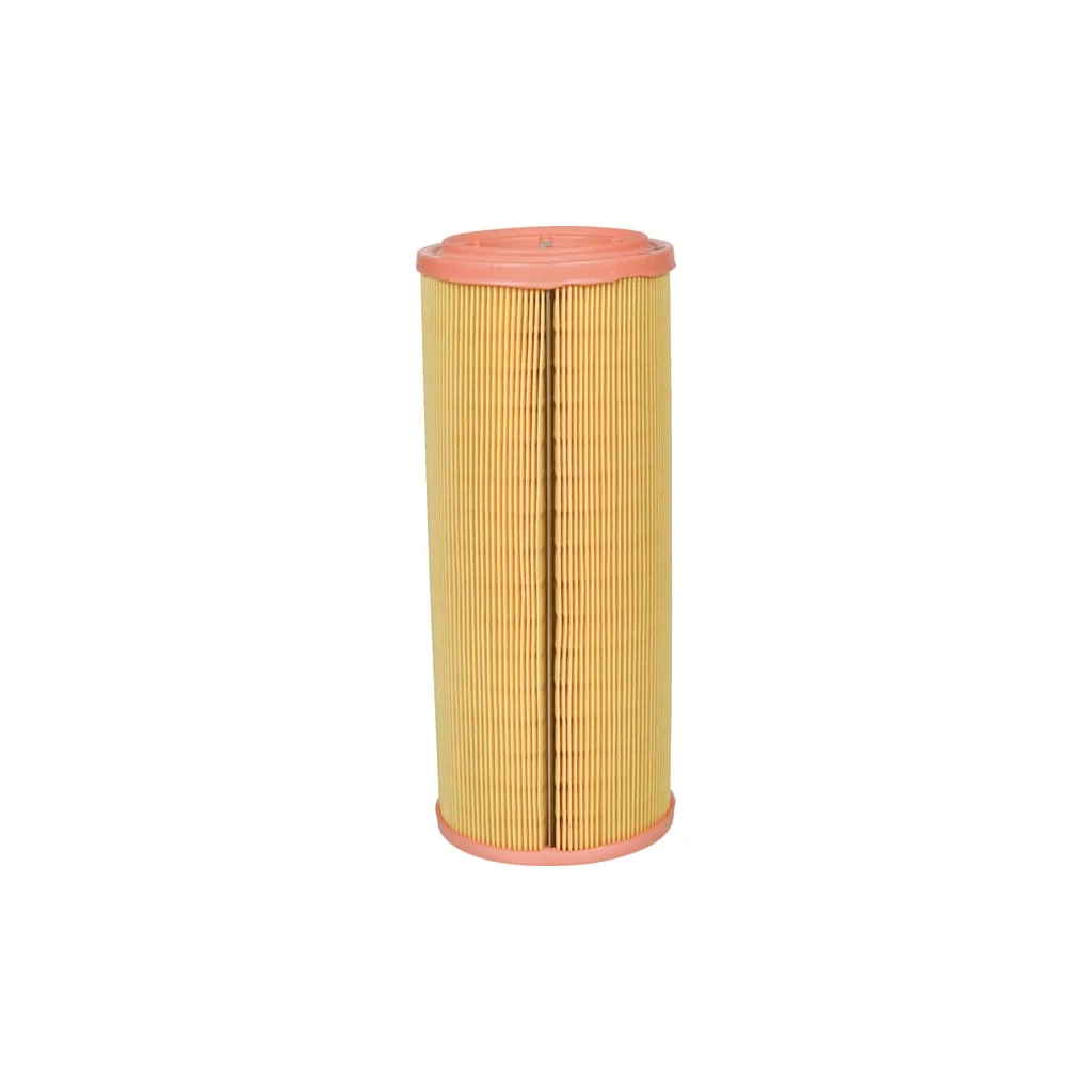 Element filtru aer C1189