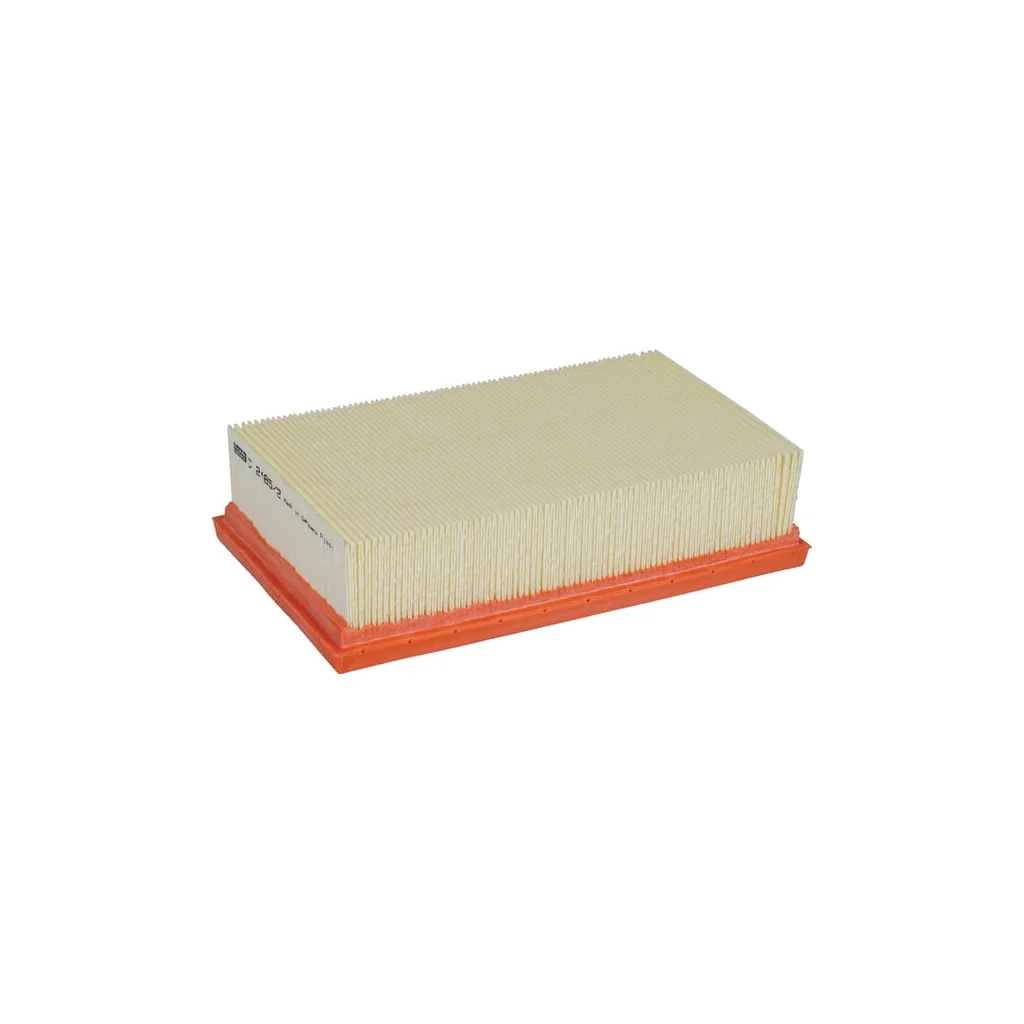 Element filtru aer C24852