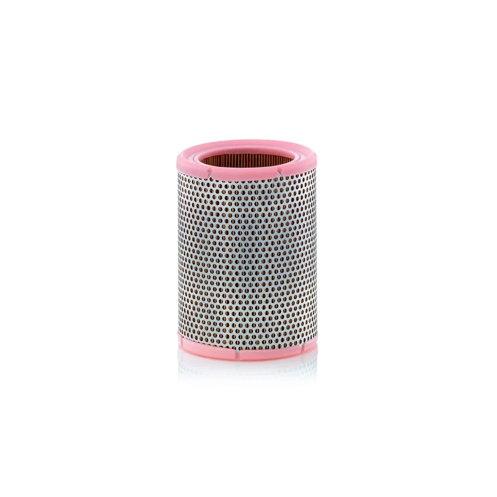 Filtru de aer C1362