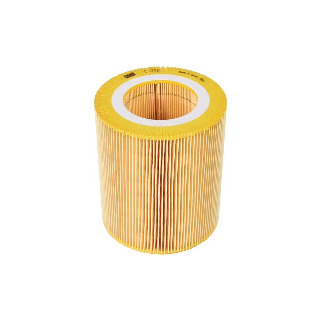 Element filtru aer C1250
