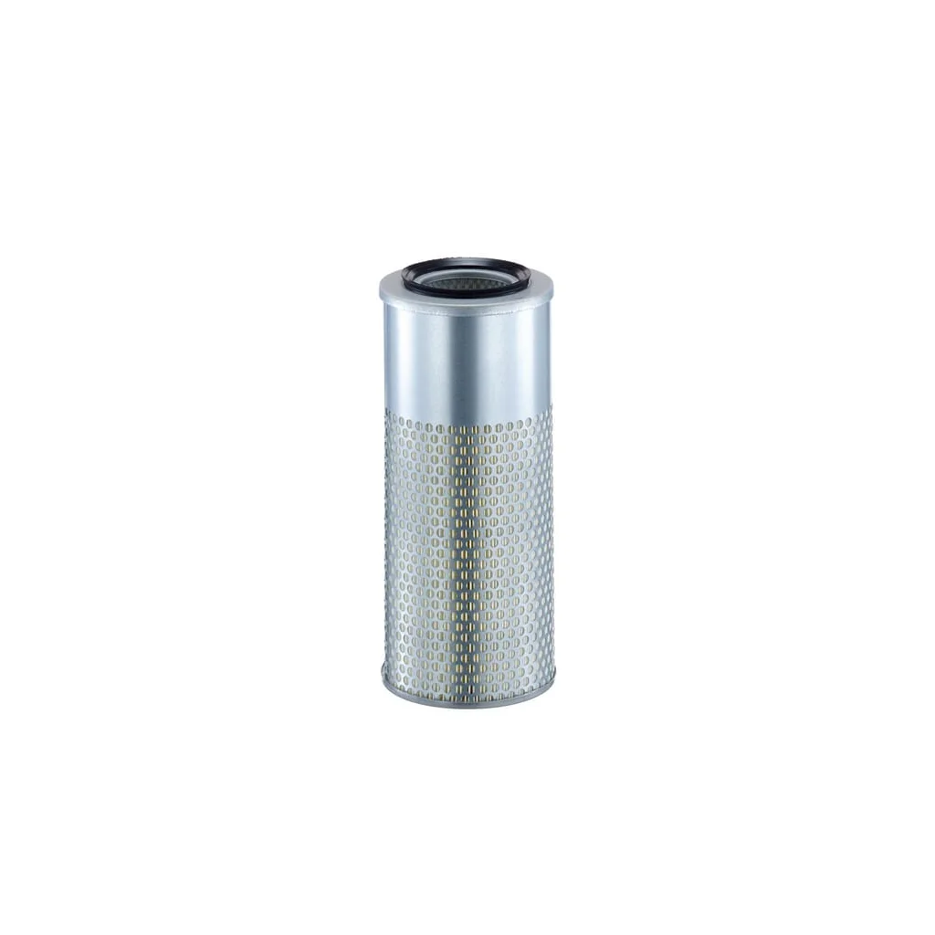 Filtru aer C17035