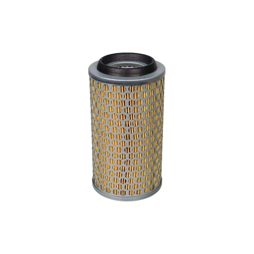 Element filtru de aer C10431