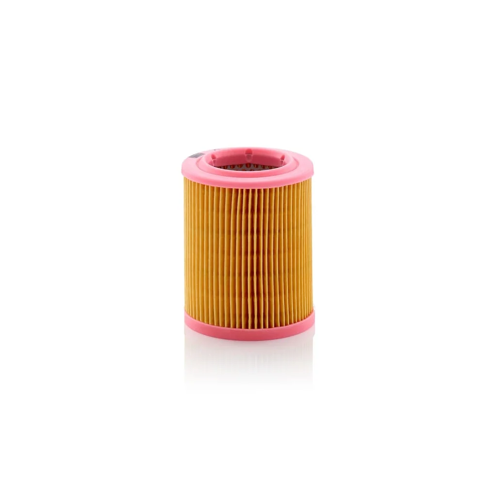 Filtru de aer C1024