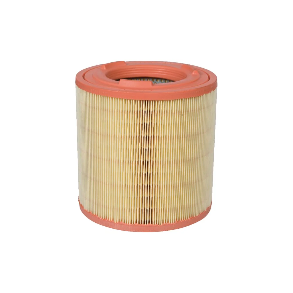 Element filtru aer C181491