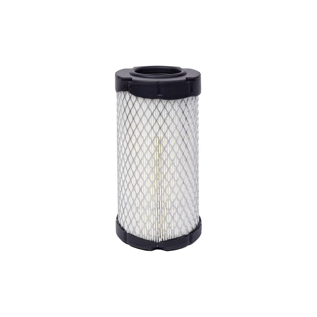 Filtru de aer C10007