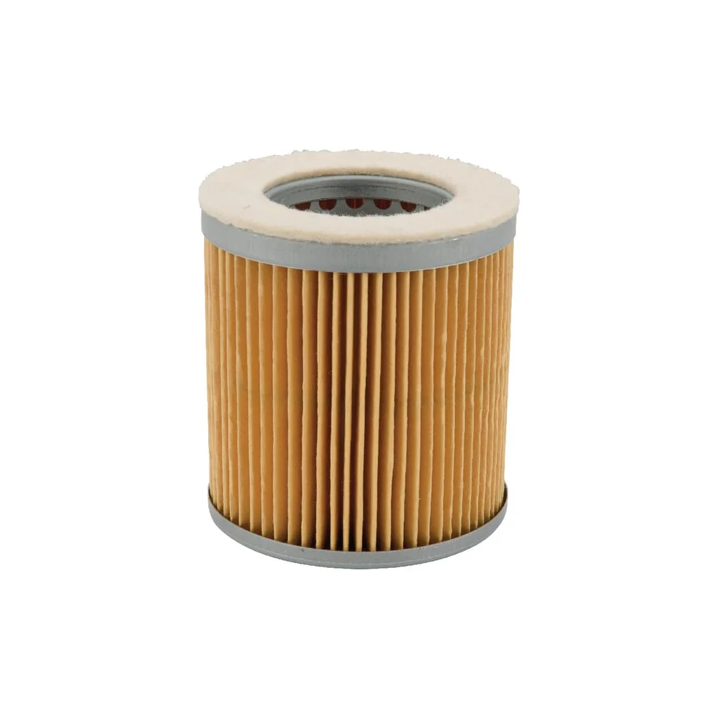 Element filtru aer C752