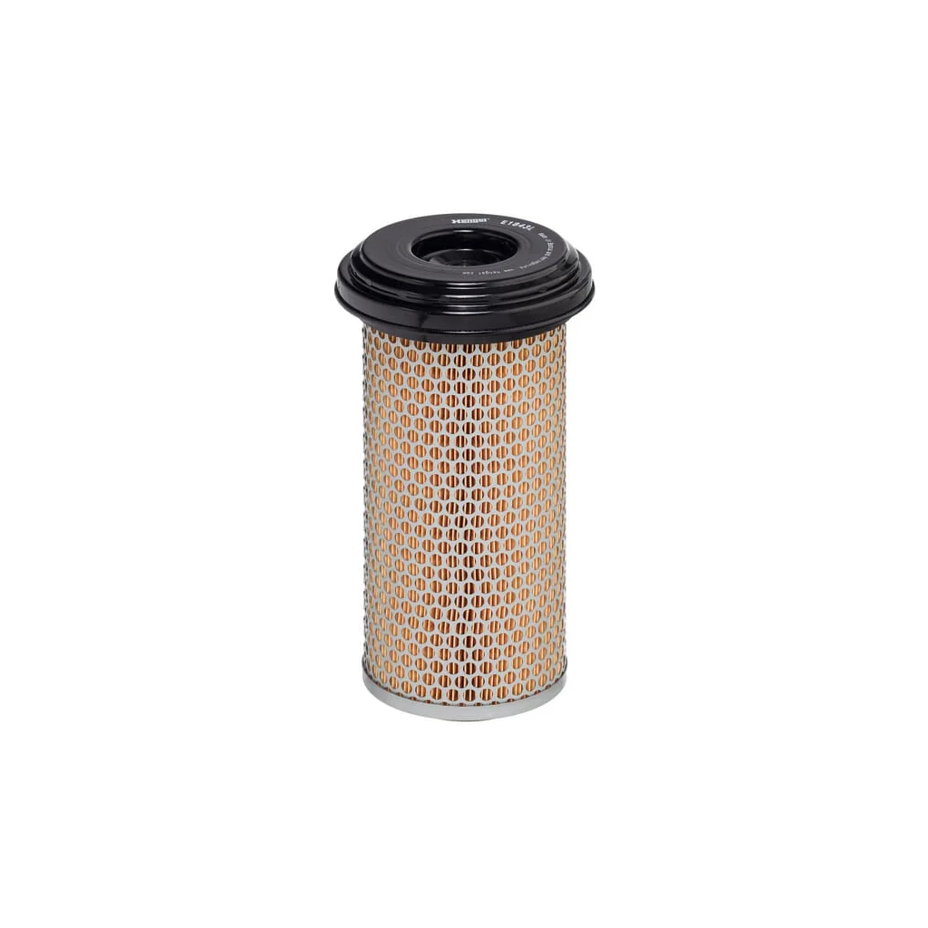 Inserție filtru de aer E1843L
