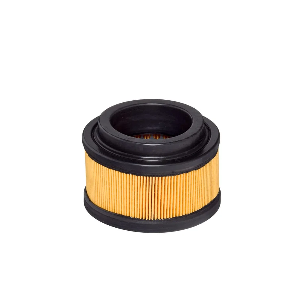 Inserție filtru de aer E1655L