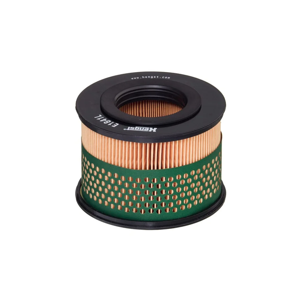 Inserție filtru de aer E1841L