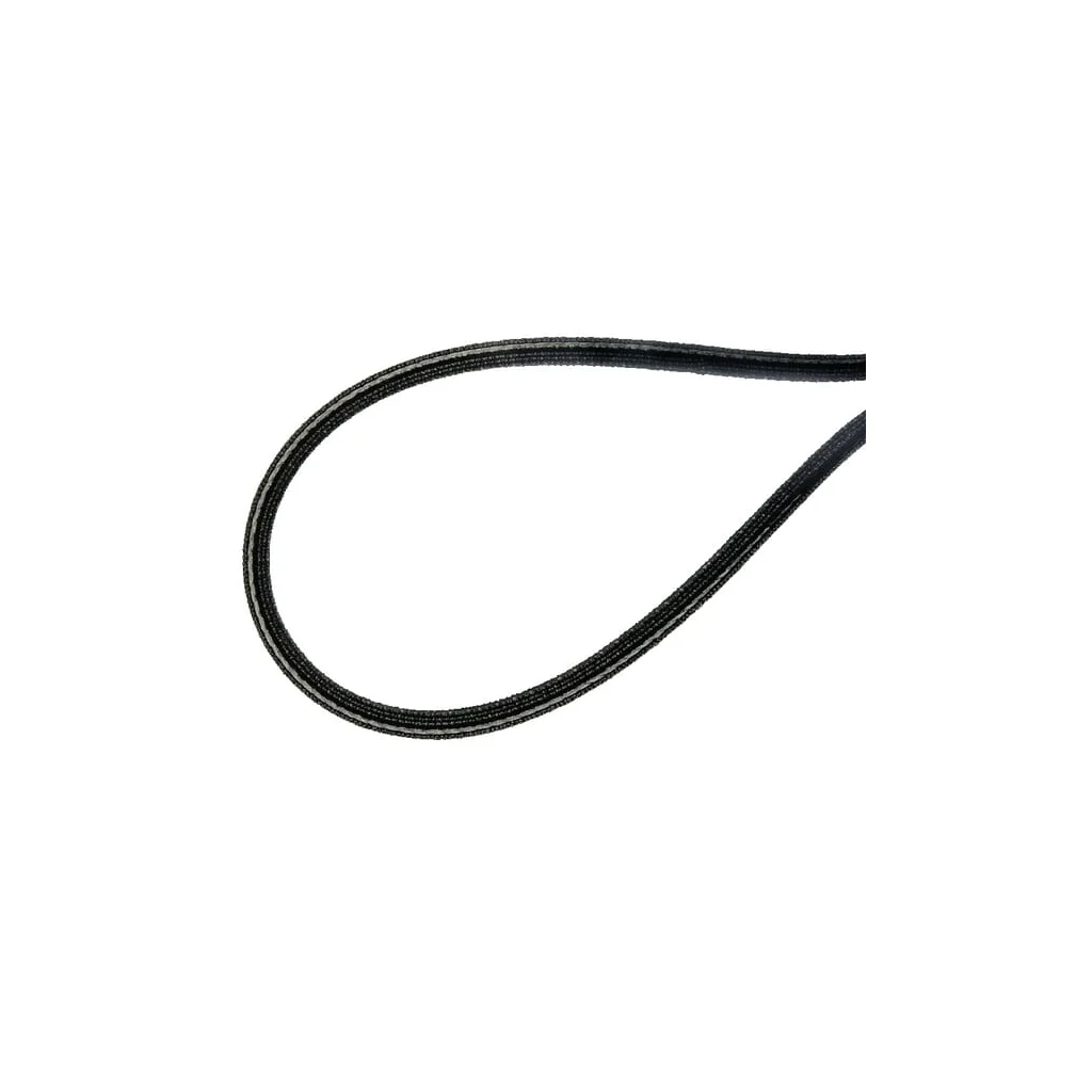Curele de transmisie trapezoidală E06193ASM