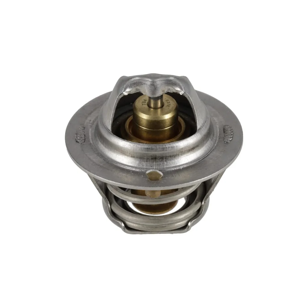 Termostat 1000199605