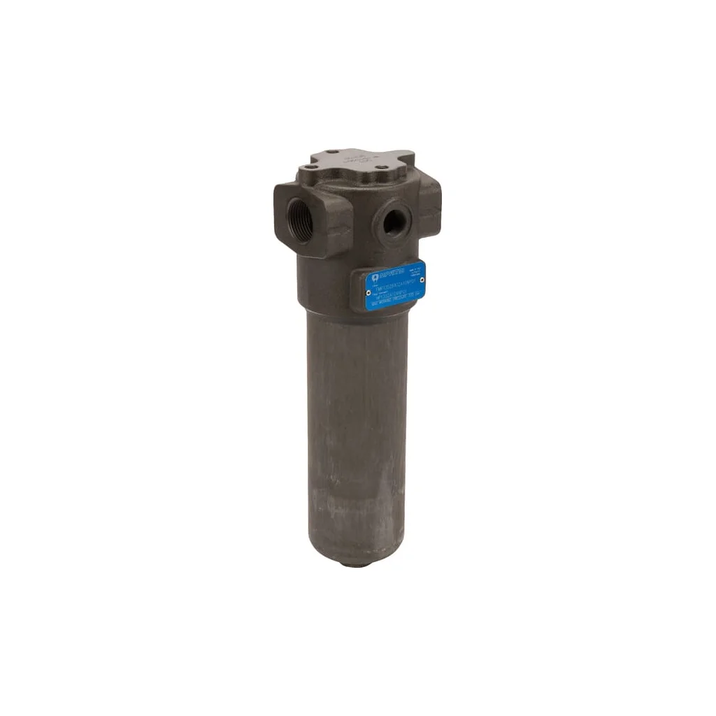 Filtru de presiune 1 "BSP 2-B-A-G2-A10-N FMP1352A10N