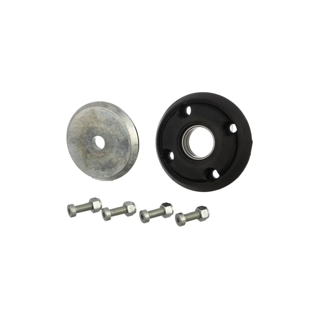 Rulment G16243321R