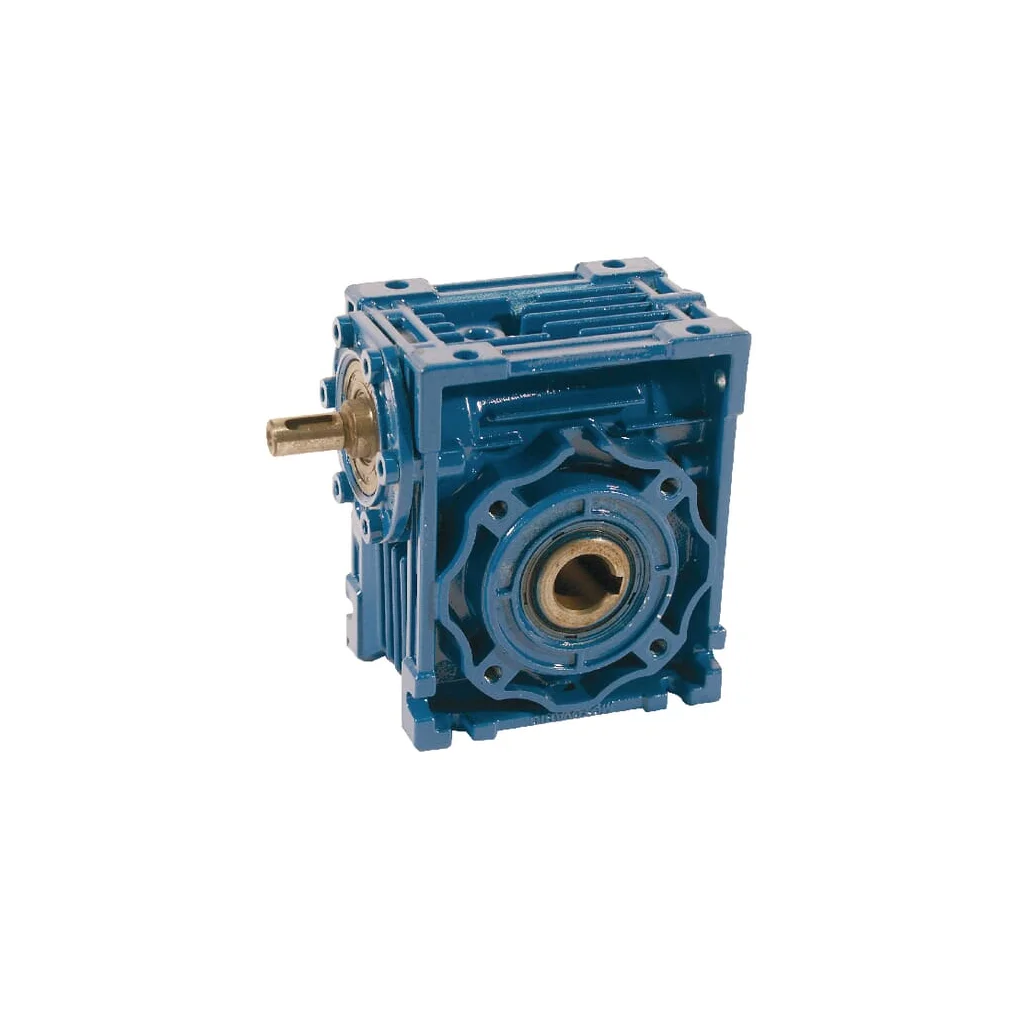 Reductor angrenaj melcat, I=50 GR11050