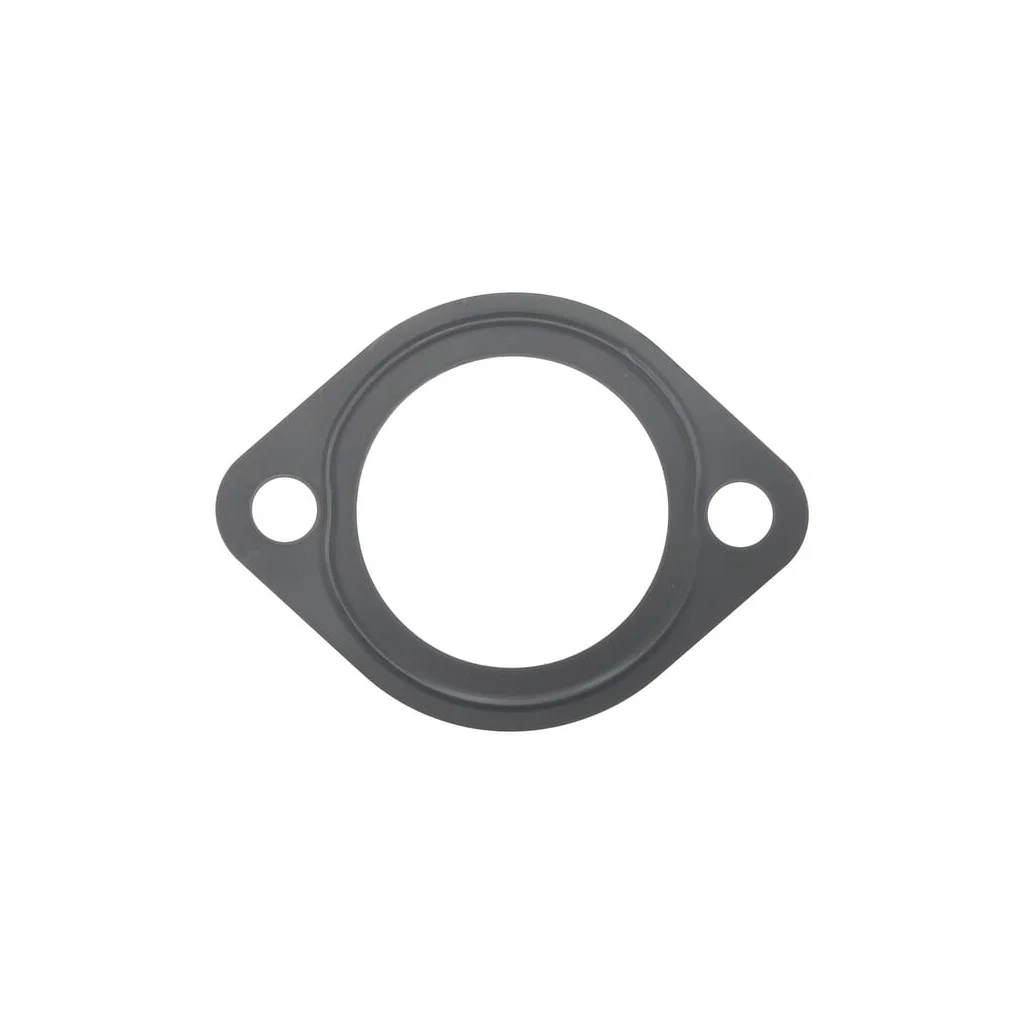 Garnitură termostat 1000026886