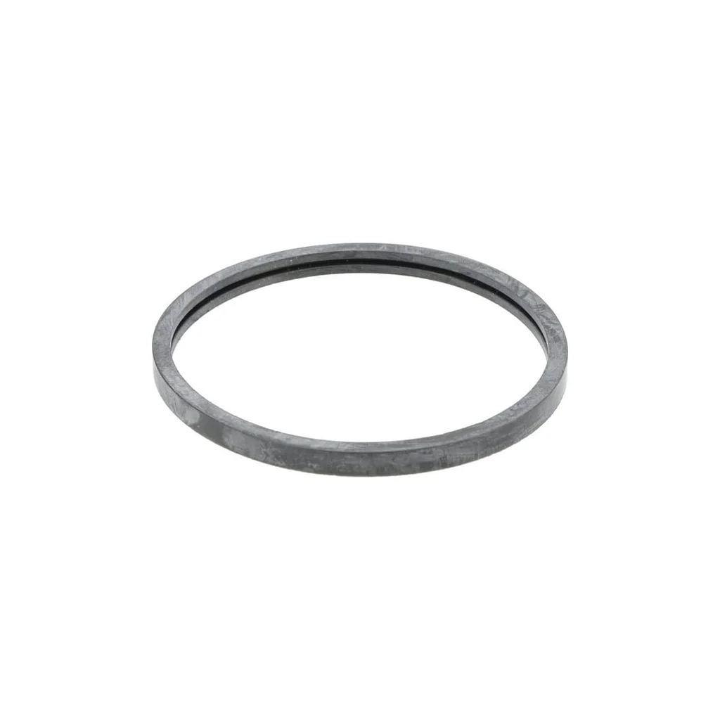 Garnitură termostat 1000061525