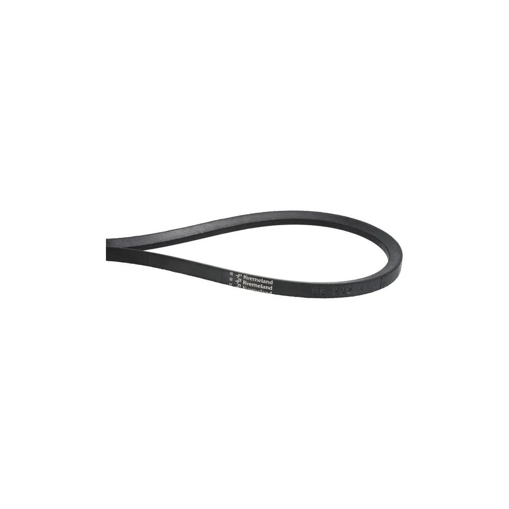 Set curea trapezoidală (3x) KT99202446