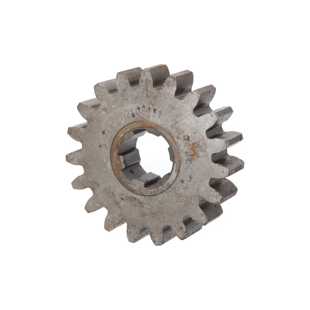 Pinion 19T. Maschio M02108111R