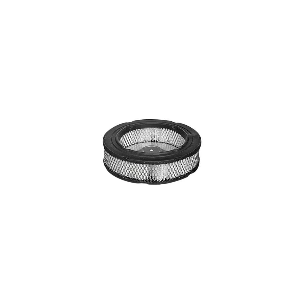 Filtru de aer M149118