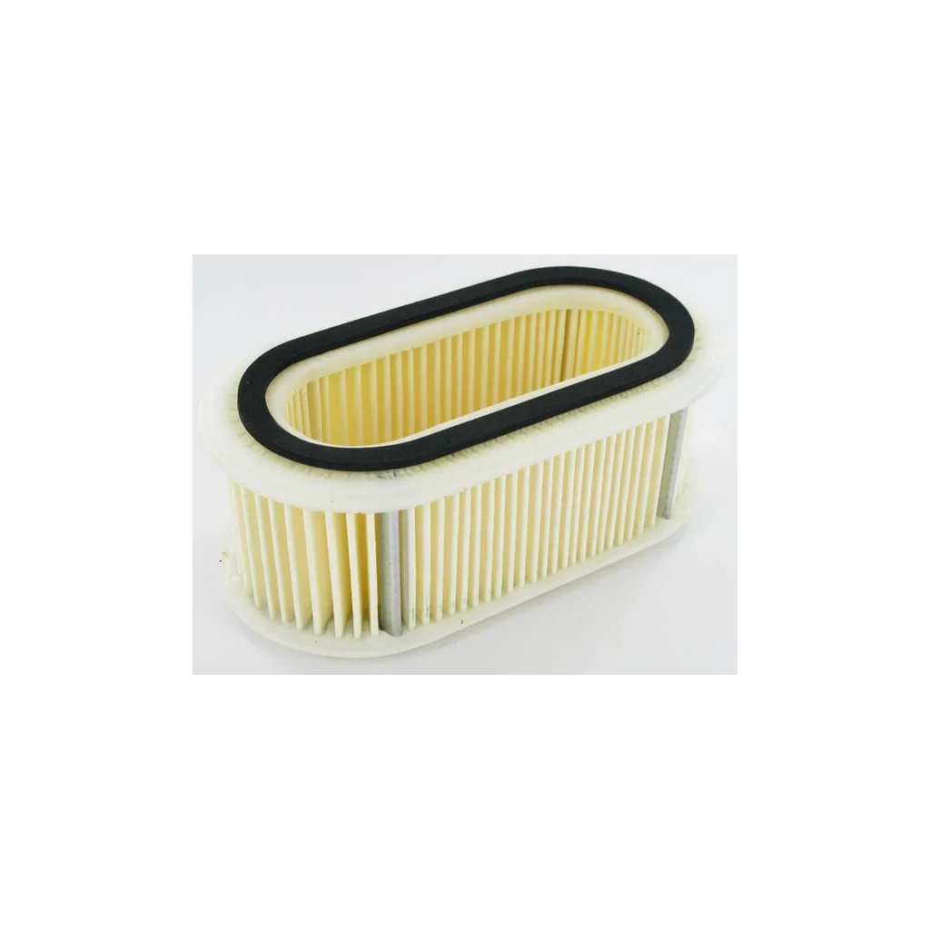 Filtru de aer FD501V 110132206