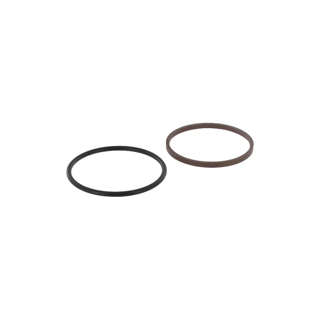 Garnitură tijă 45x55,7x4,20mm 10IGRL0450B554470