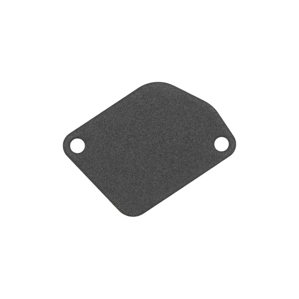 Garnitură cameră supapă de aerisire 1108500300002