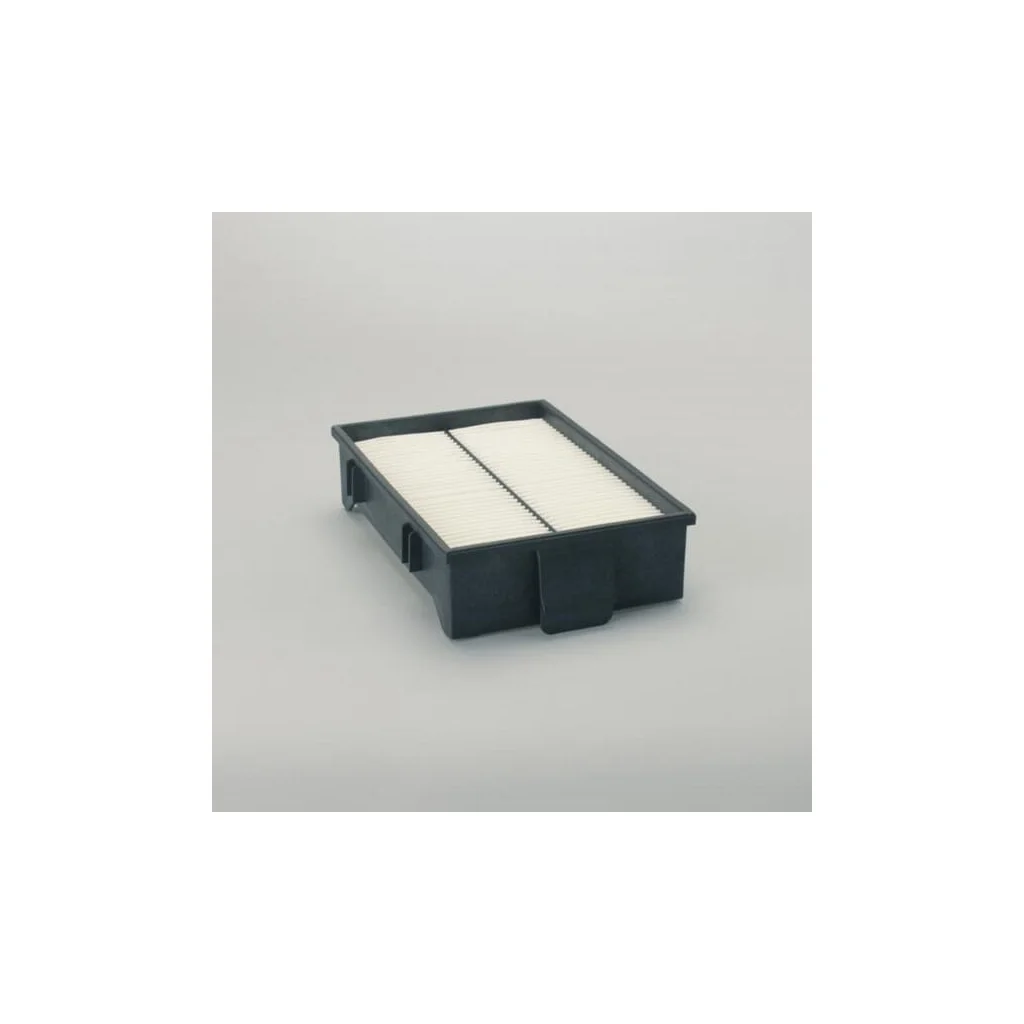 Filtru de aer P500248