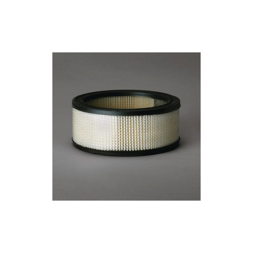 Filtru aer principal rotund P607255