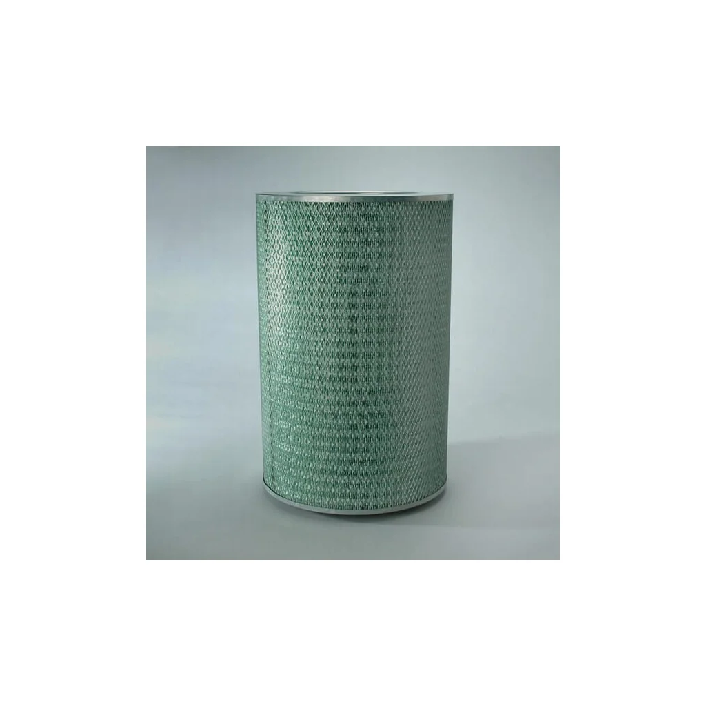 Filtru aer exterior P786830