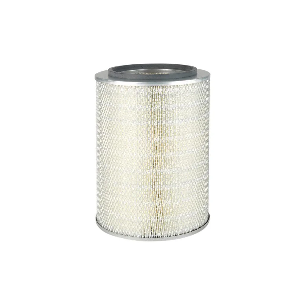 Filtru de aer principal P777776