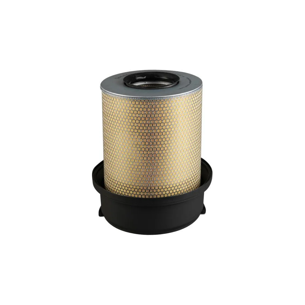 Filtru aer exterior P781350