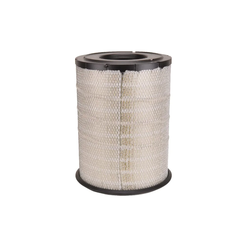 Filtru aer exterior P782857