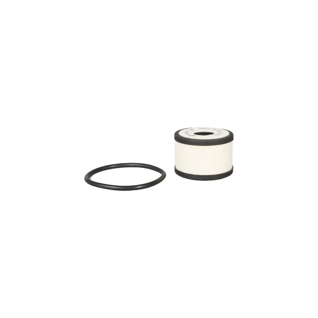 Filtru de ventilație carter P903615