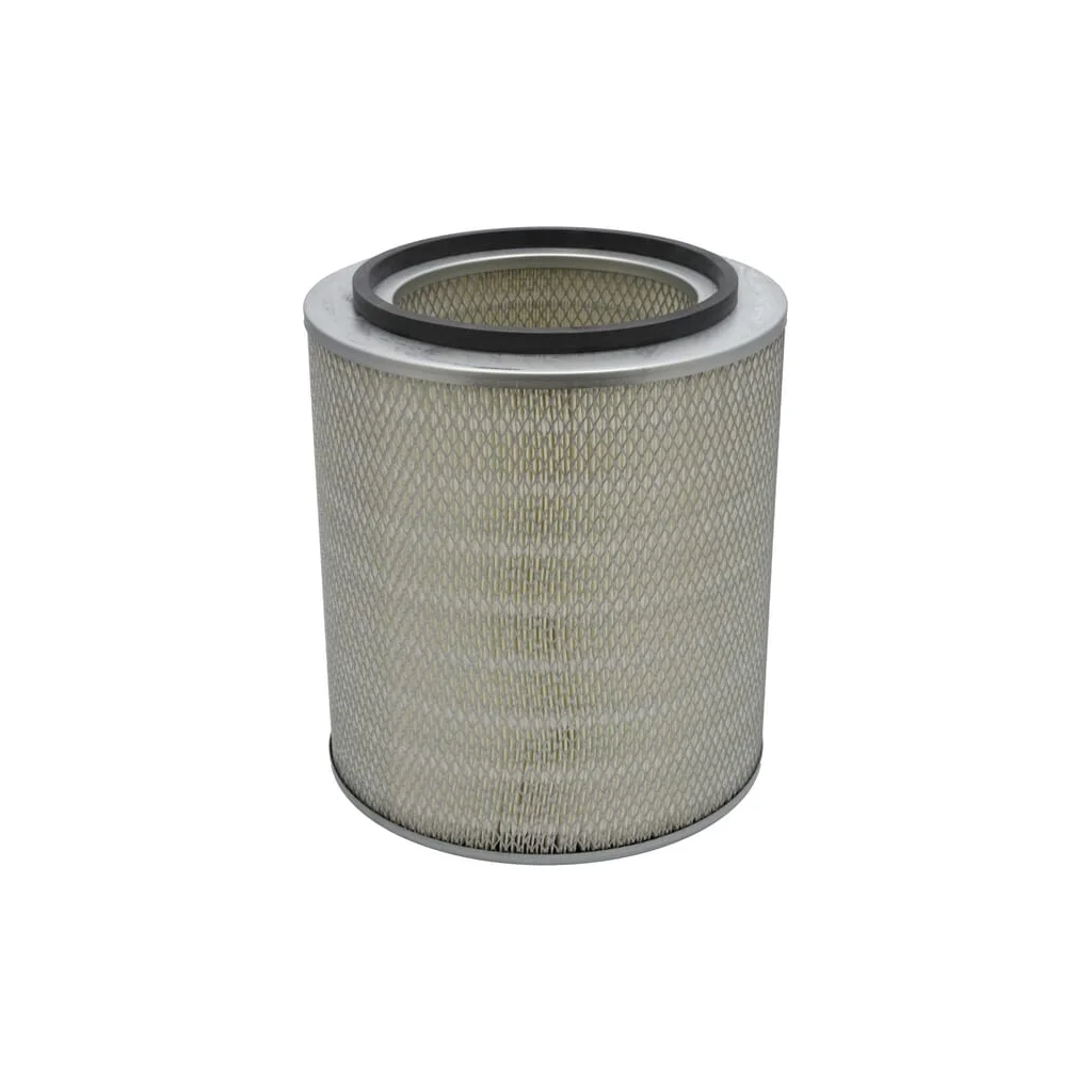 Filtru aer exterior P776252