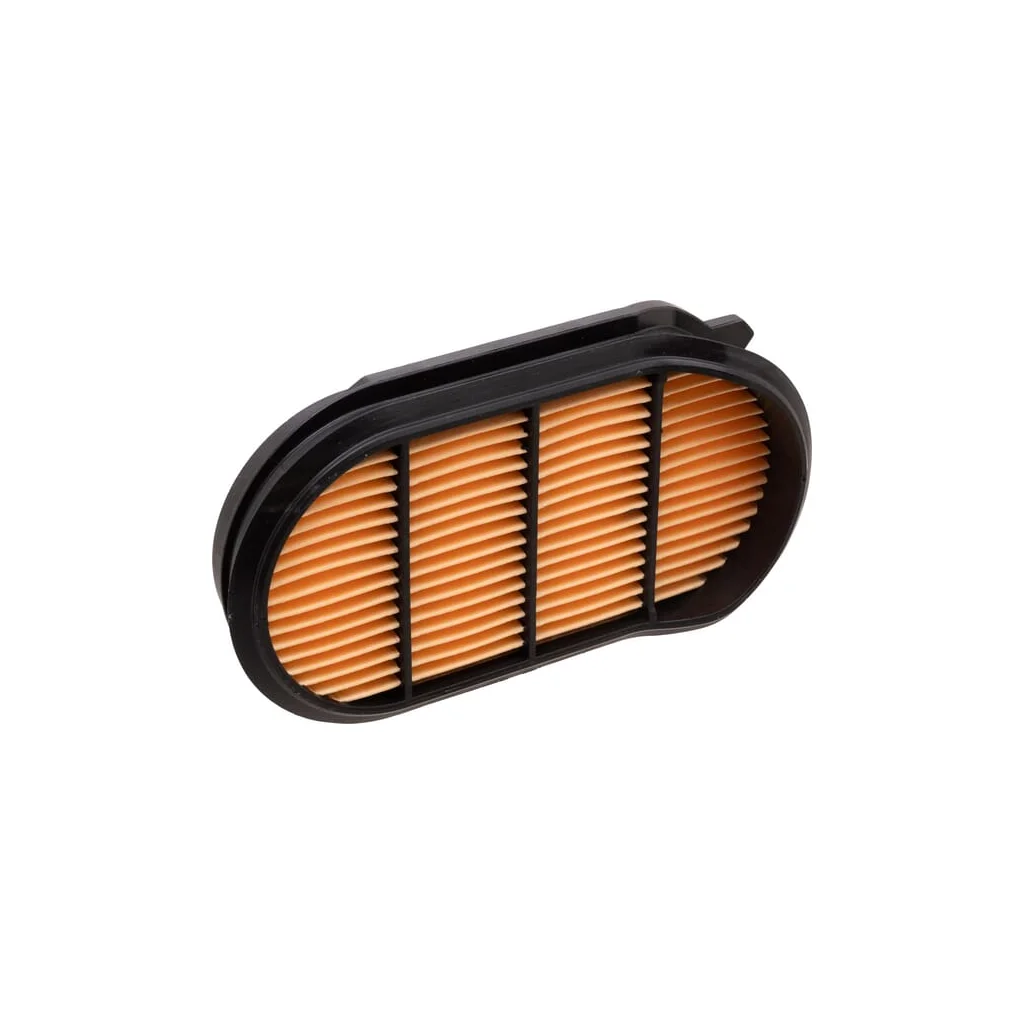 Filtru de aer, protecție, Obround P957712