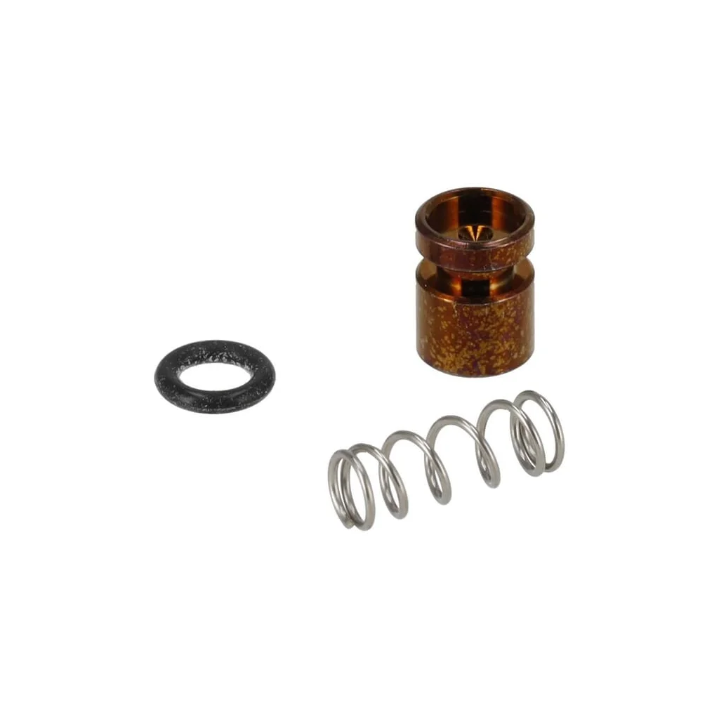 Kit piston pompă 11231209701