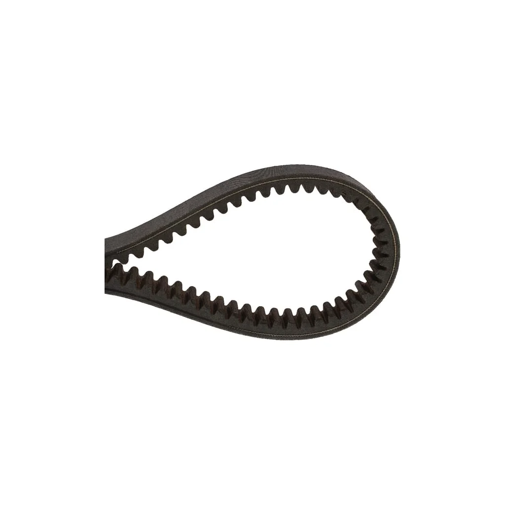 Curea trapezoidală R568198