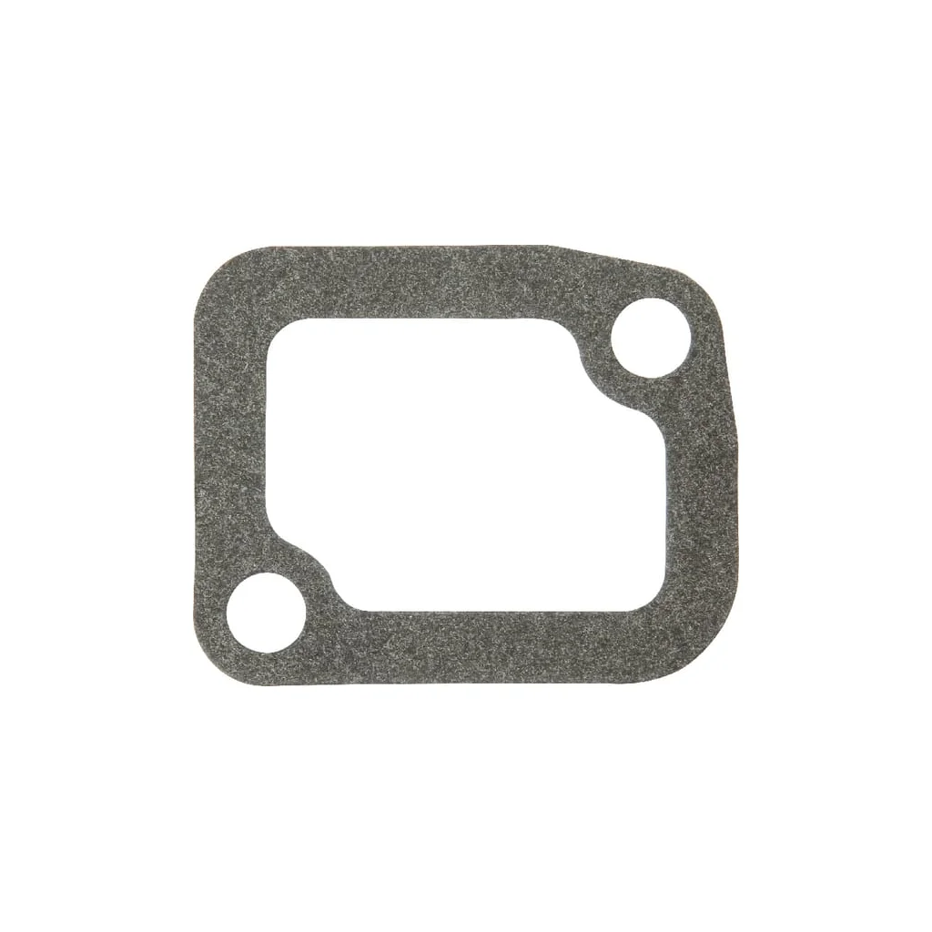 Garnitură de termostat R54641