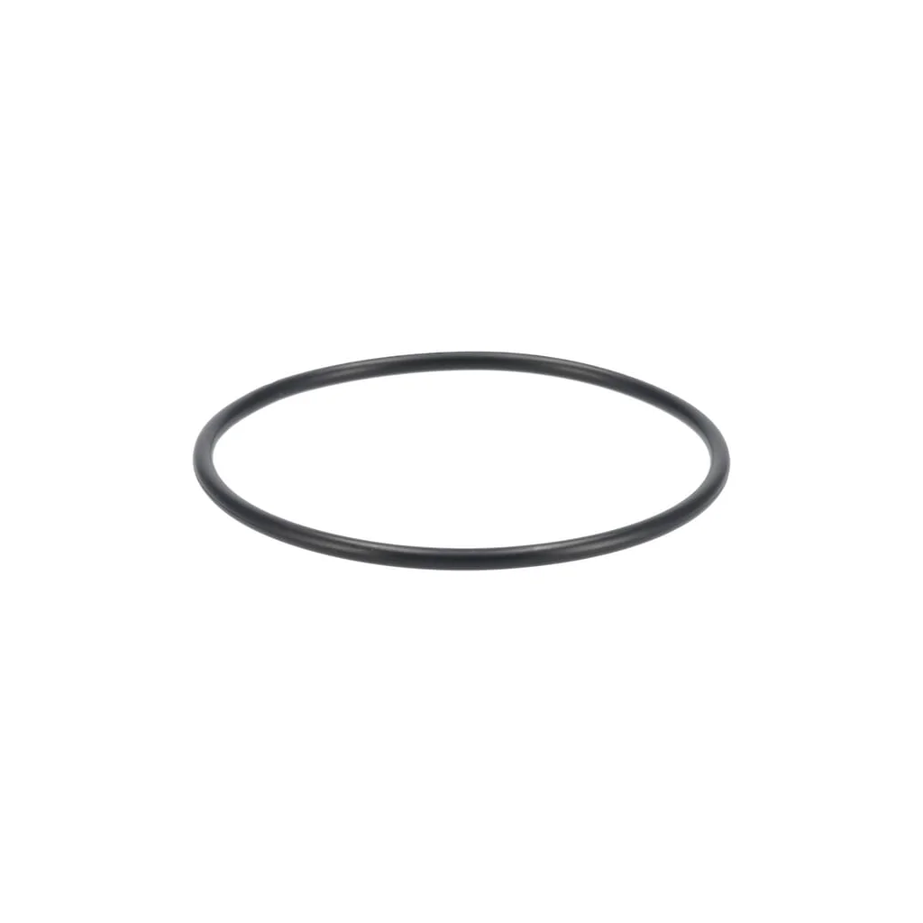 Carburant - O-ring prefiltru RD45151930