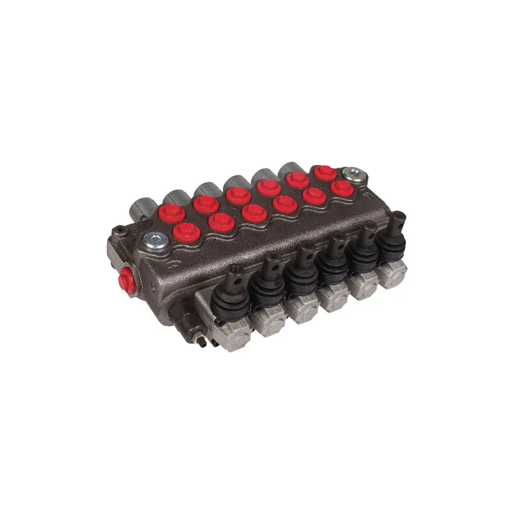 Supapă de control 6X18 SD116001
