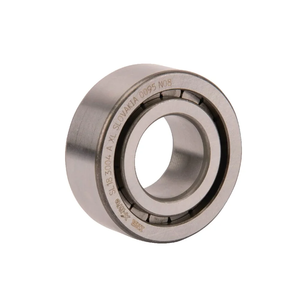Rulment cu role cilindrice 20x42x16mm INA/FAG SL183004AXL