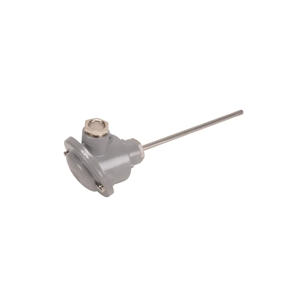 Senzor de temperatură, pasiv, PT100 100 mm TF54PT100100