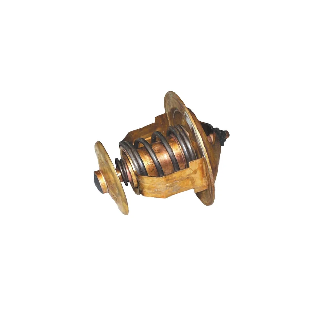 Termostat potrivit pentru Belarus TS1071306100N