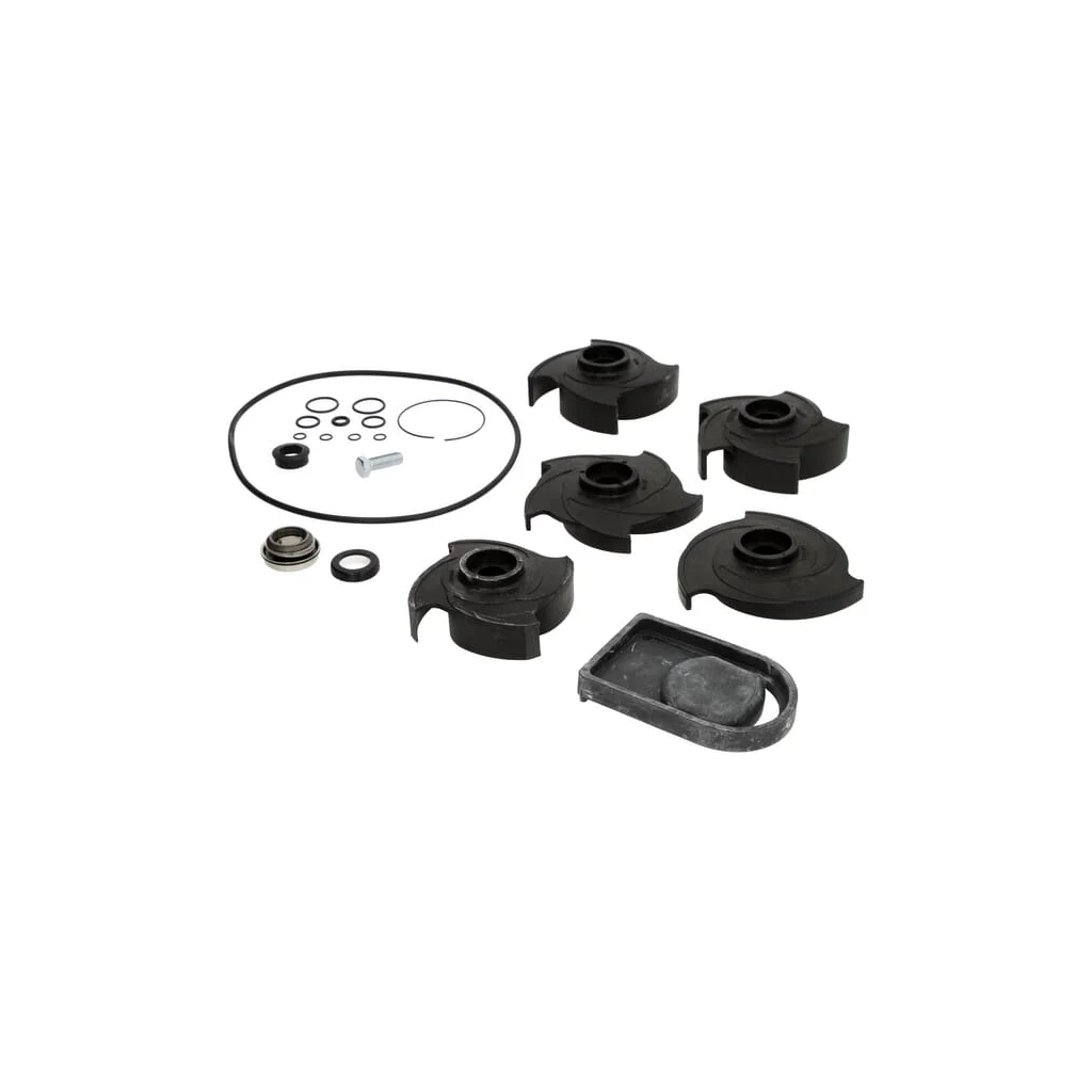 Set de reparație 2" pompă Poly 12000A