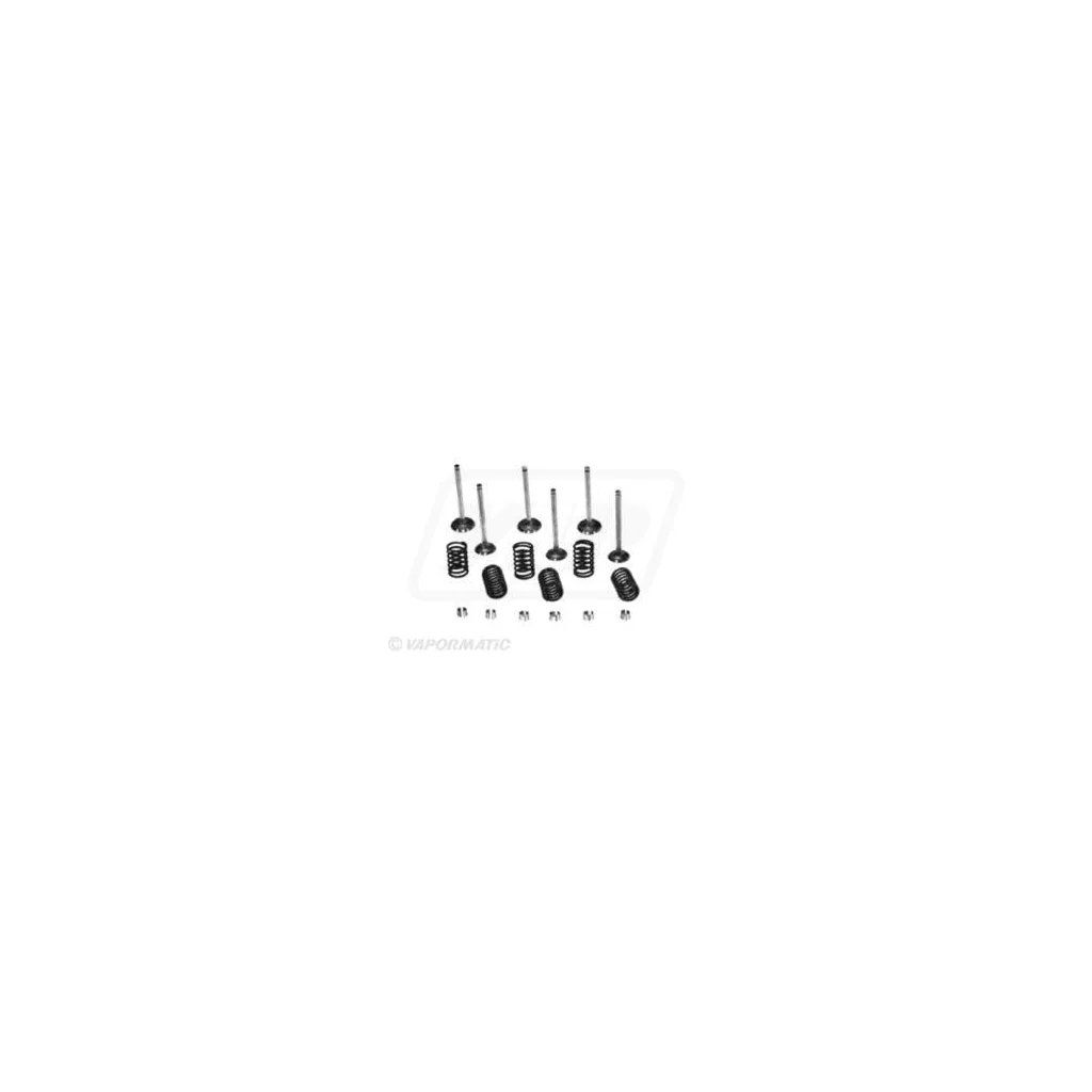 Set supapă VPA6050