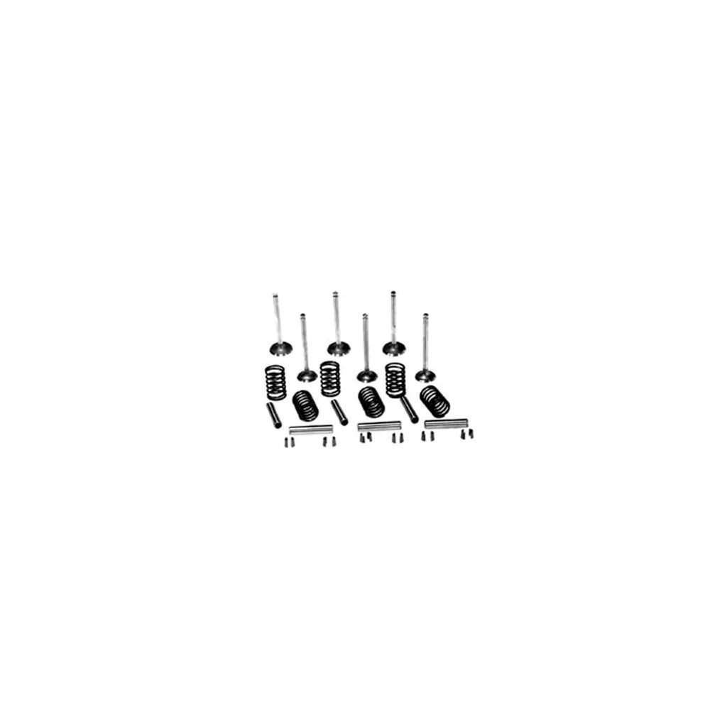 Set supapă VPA6002