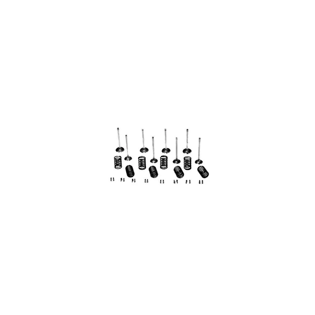 Set supapă VPA6032