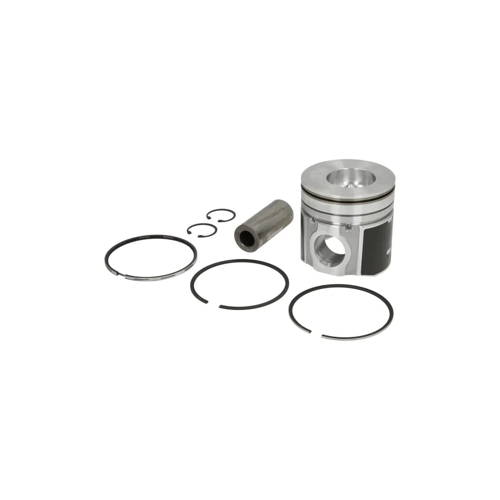 Piston cu segmenți VPB3816