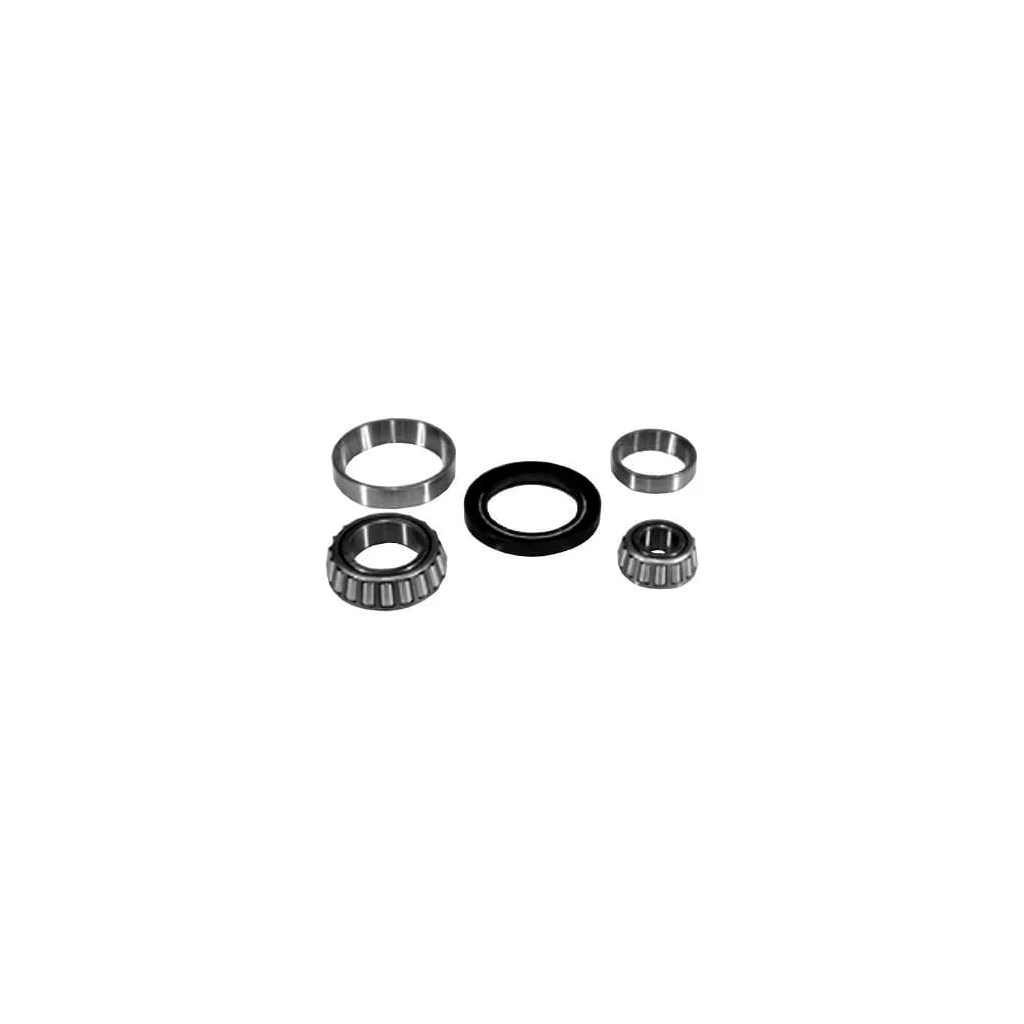 Set rulment roată VPJ2204